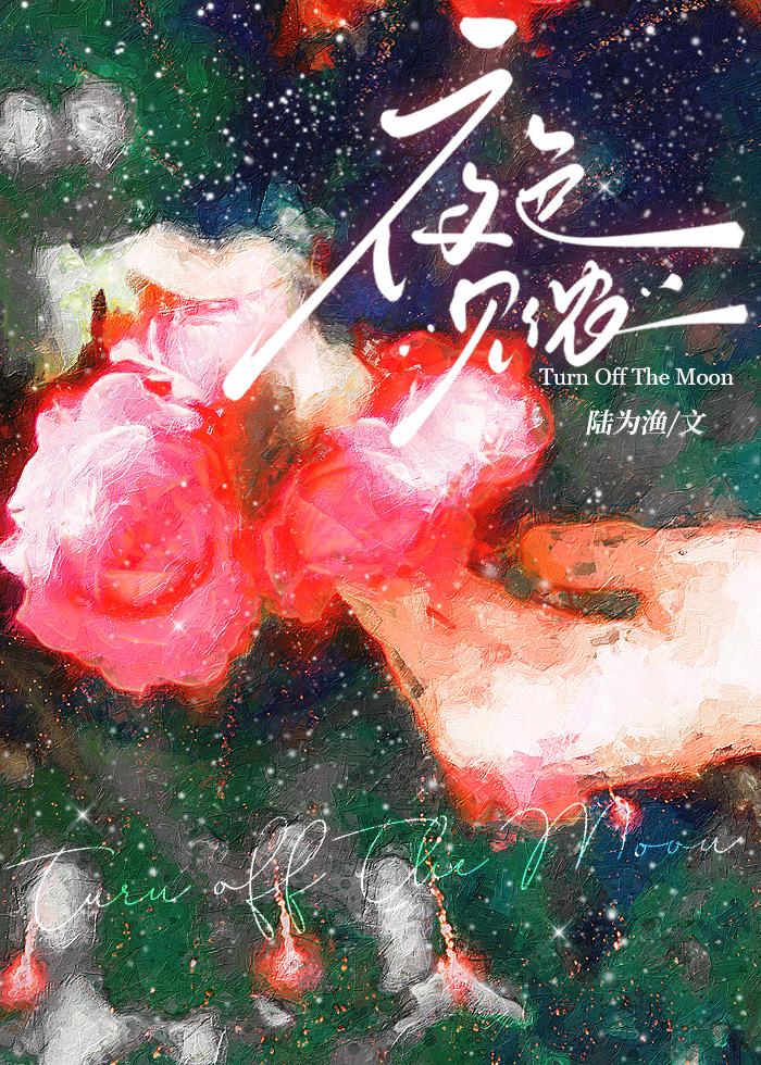 夜色见侬