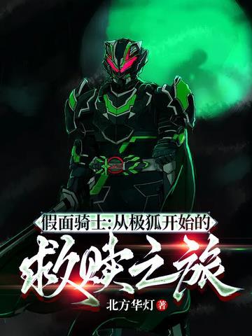 假面骑士：从极狐开始的救赎之旅