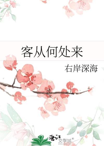客从何处来