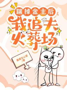 踹掉金主后,我追夫火葬场