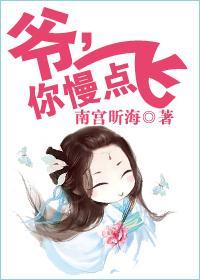 爷，你慢点飞
