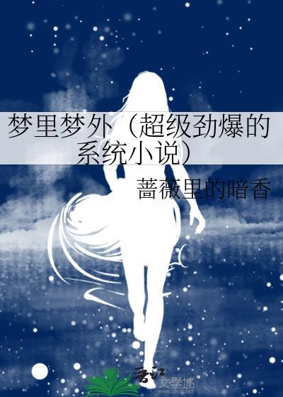 梦裏梦外(超级劲爆的系统小说)