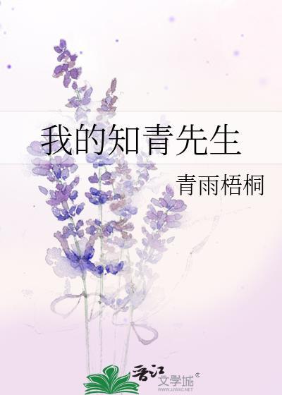 我的知青先生