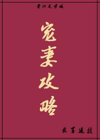 宠妻攻略
