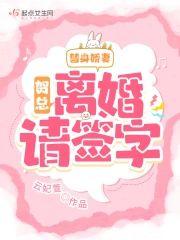 替身娇妻：贺总，离婚请签字