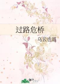 过路危桥