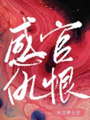 感官仇恨