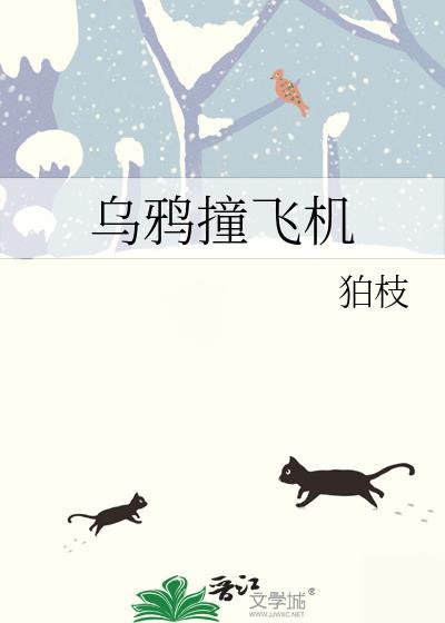 乌鸦撞飞机
