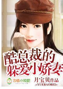 酷总裁的躲爱小娇妻