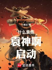 什么袁绍,袁神啊!启动!