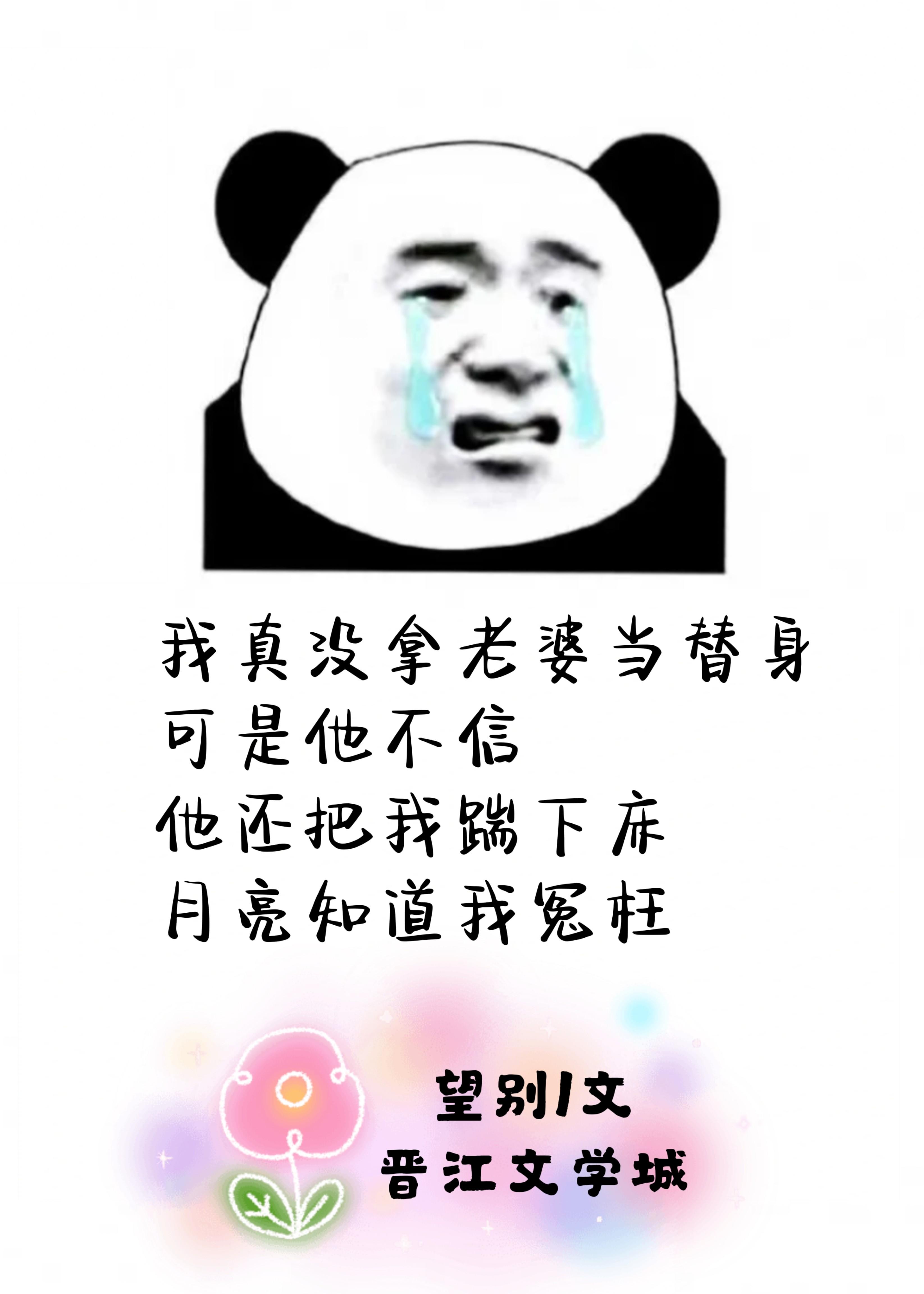 全世界都以为我找了替身