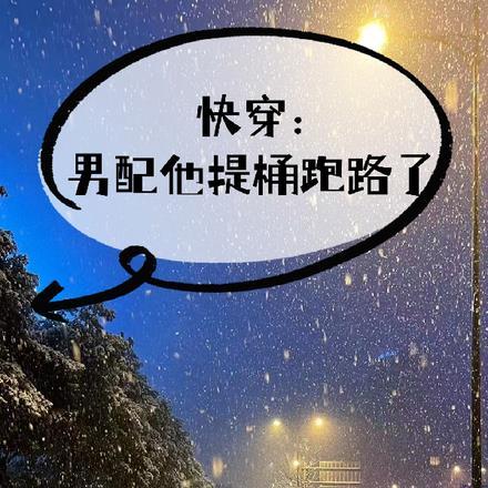 快穿:男配他提桶跑路了