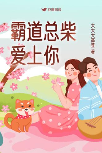 霸道总柴爱上你