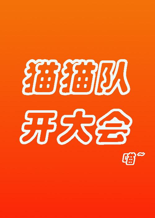猫猫队，开大会