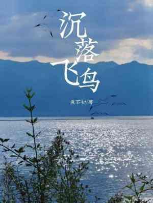 沈落飞鸟