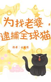 为找老婆,逮捕全球猫