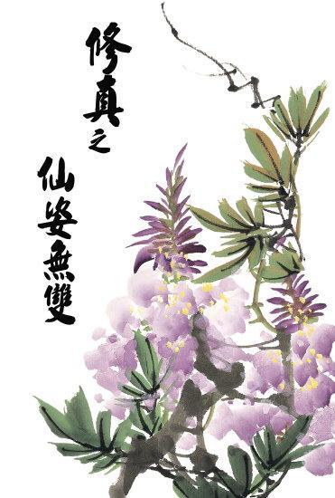 修真之仙姿无双