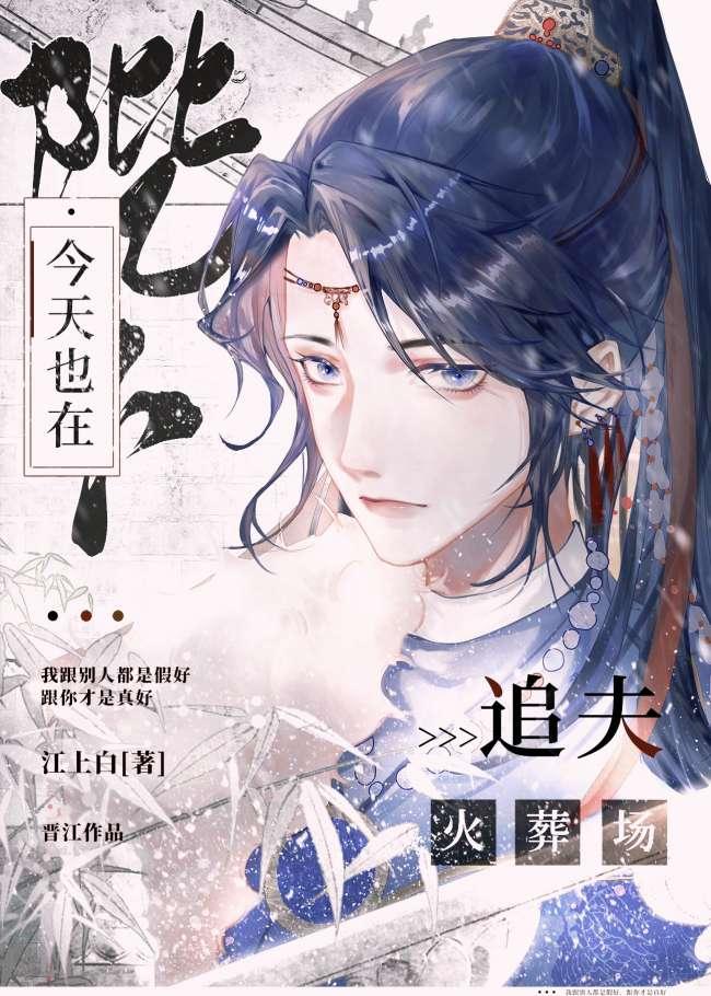 陛下今天也在追夫火葬场