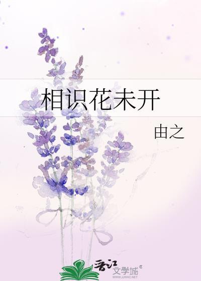 相识花未开