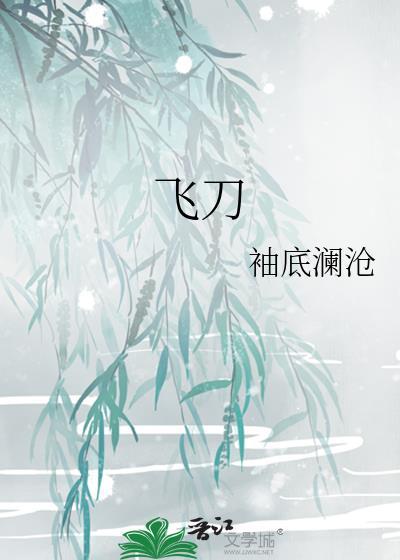 飞刀