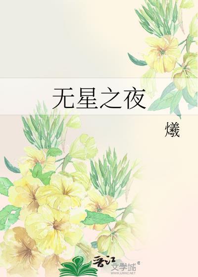 无星之夜