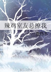辣鸡室友总撩我