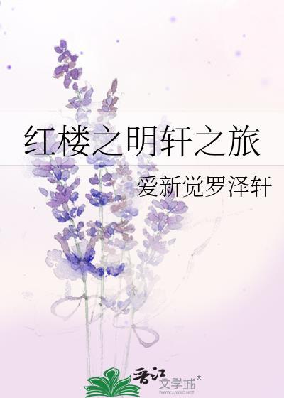 红楼之明轩之旅