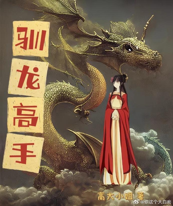 驯龙高手