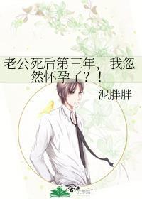 老公死后第三年,我忽然怀孕了?!