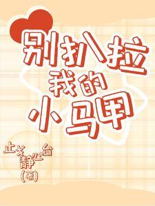 别扒拉我的小马甲