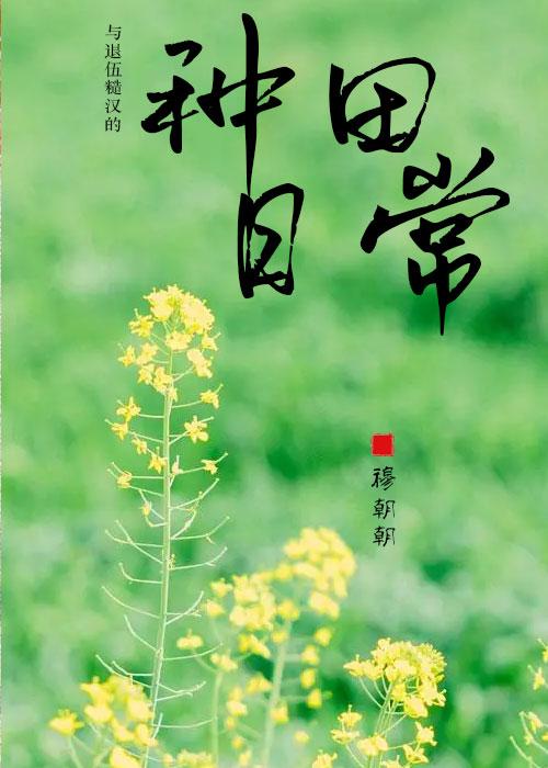 与退伍糙汉的种田日常