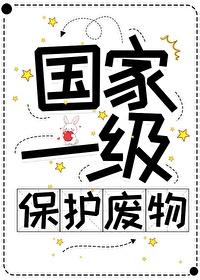 社恐炮灰,但网友是男主