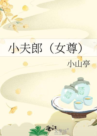 小夫郎（女尊）