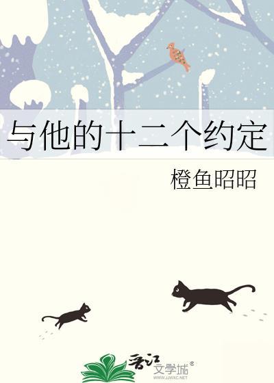 与他的十二个约定