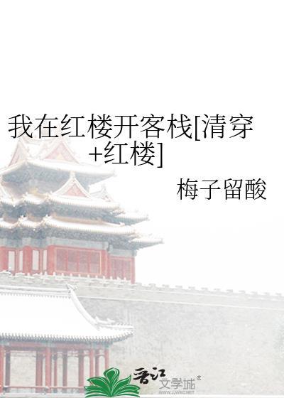 我在红楼开客栈[清穿+红楼]
