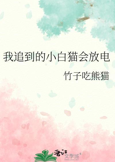 我追到的小白猫会放电