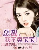 出逃妈咪：总裁，我不卖宝宝