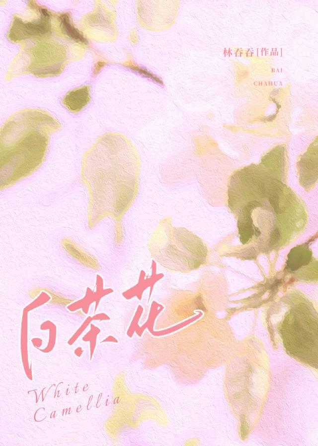 白茶花