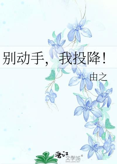 别动手，我投降！