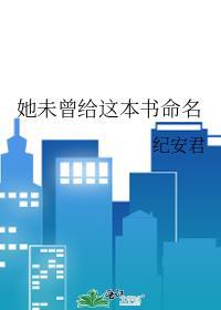 她未曾给这本书命名