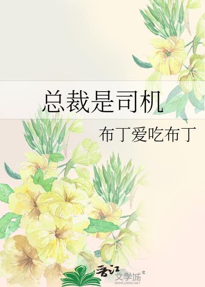 总裁是司机
