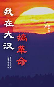 我在大汉搞革命