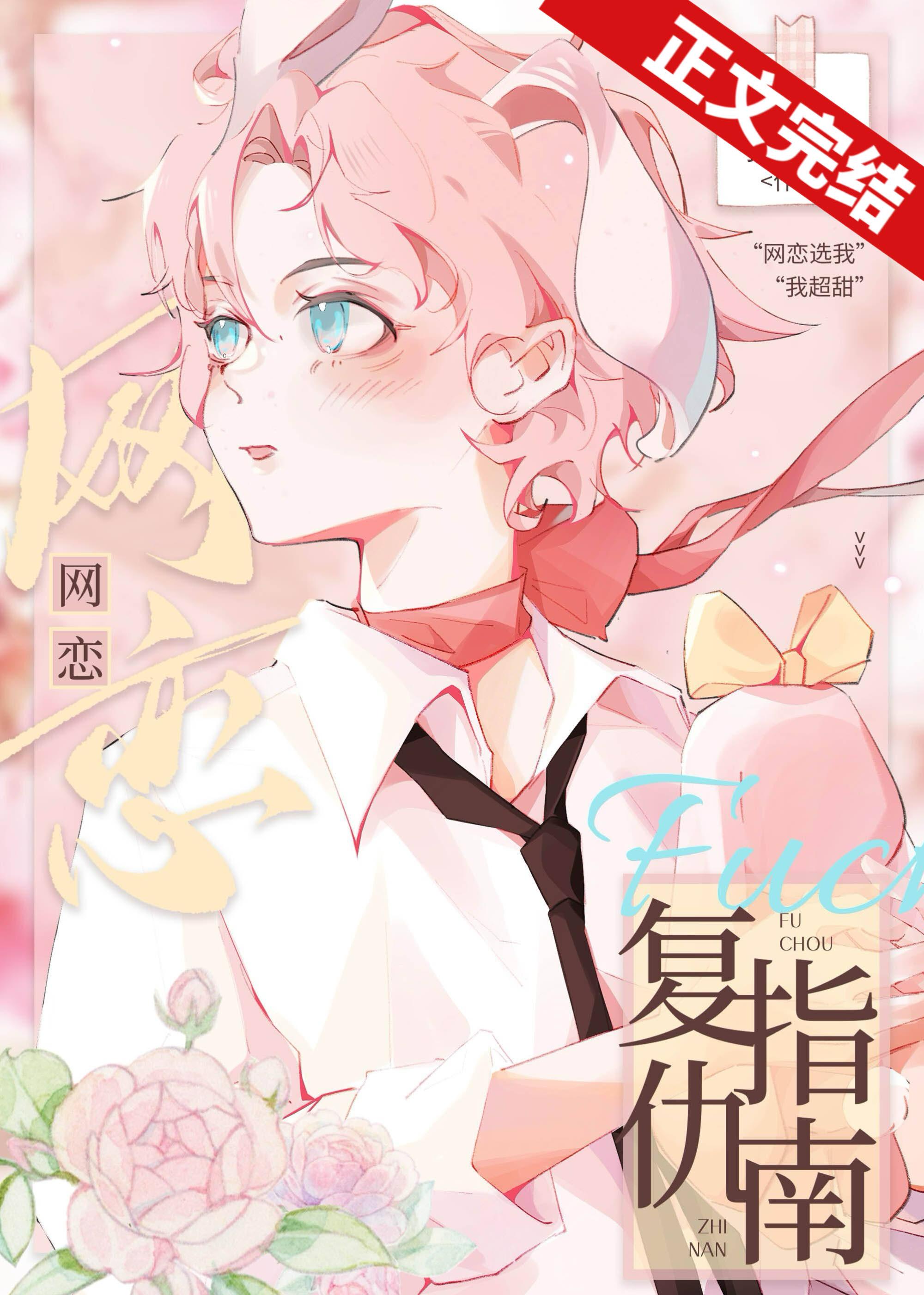 网恋覆仇指南