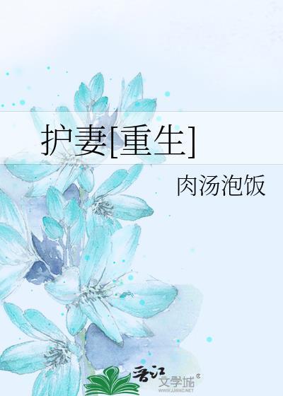 护妻[重生]