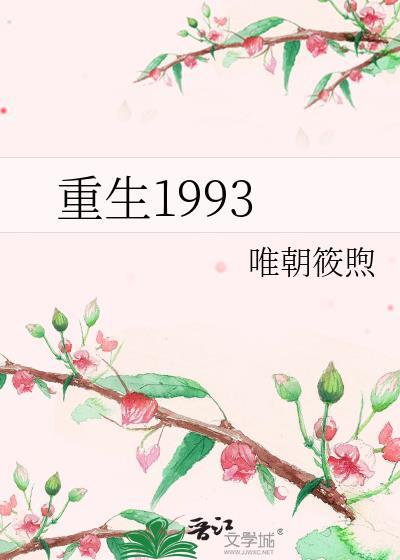 重生1993