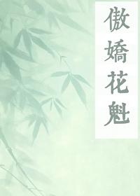 傲娇花魁【女尊】
