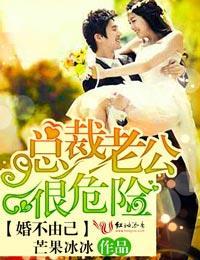 婚不由己,总裁老公很危险!