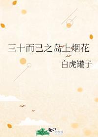 三十而已之岛上烟花