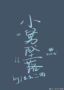 小舅坠落