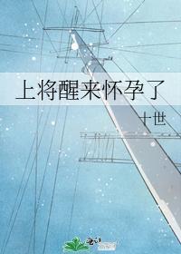 上将醒来怀孕了